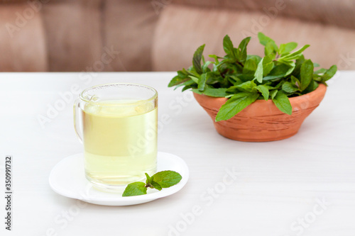 Fresh herbal mint tea on white wooden table. Calm and health concept,