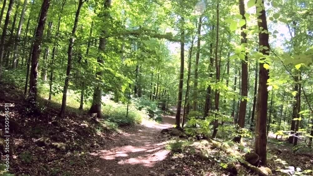 POV, Wanderung durch grünen Frühlingswald, Rentner, Ehepaar POV, Wanderung durch grünen Frühlingswald, Rentner, Ehepaar