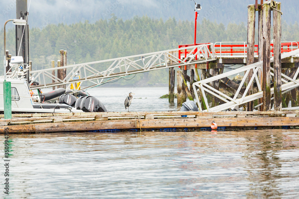 Sitting on a dock Sitting on a dock
