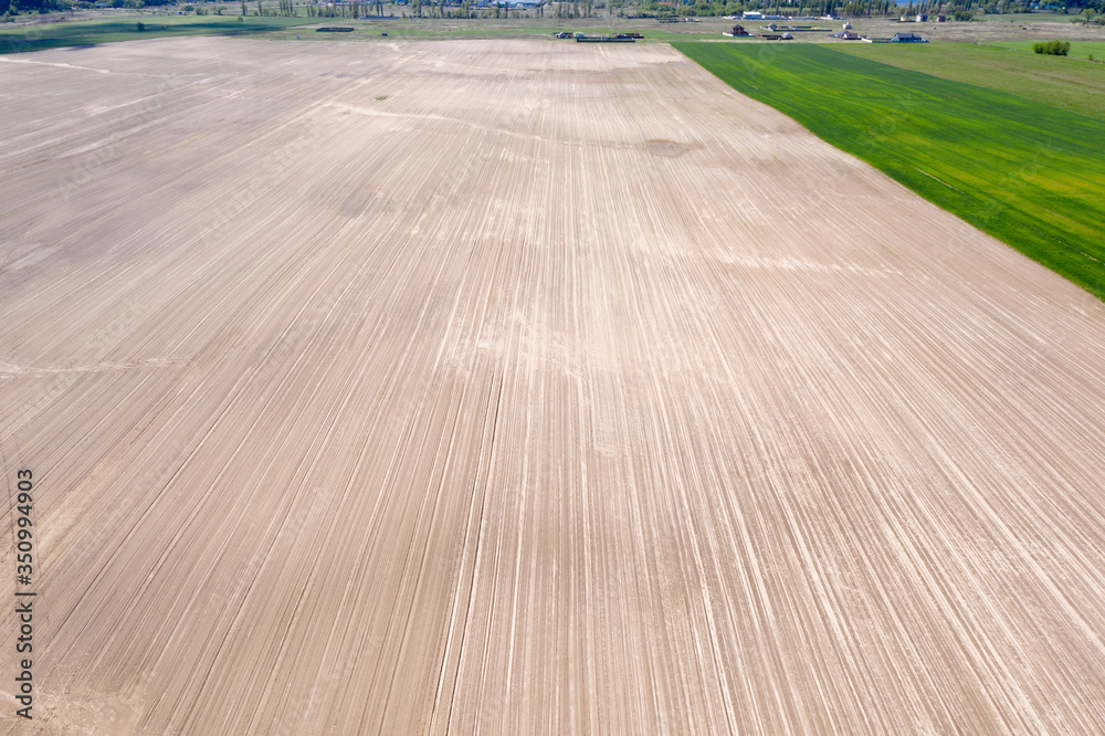 Fototapeta premium farm field, agriculture, view from above