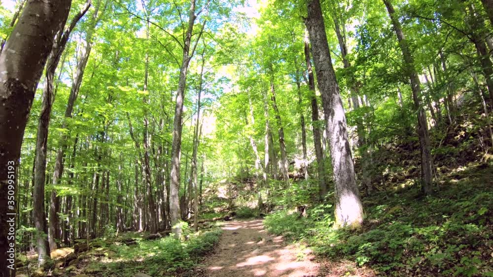 POV, Wanderung durch grünen Frühlingswald, Rentner, Ehepaar POV, Wanderung durch grünen Frühlingswald, Rentner, Ehepaar
