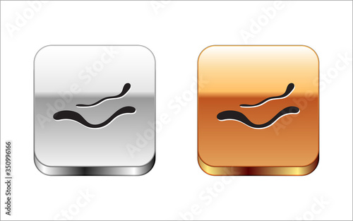 Black Ebola virus disease icon isolated on white background. Silver-gold square button. Vector