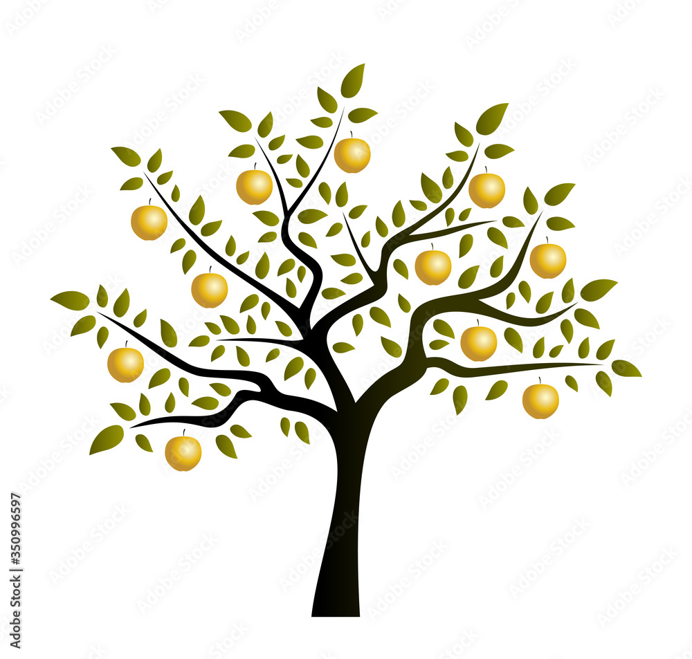 golden apple tree
