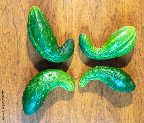 Four misshapen organic cucumbers on the brown wooden background. Natural cucumbers are healthy food, which contains lot of vitamins good for diet. Horizontal orientation Image.