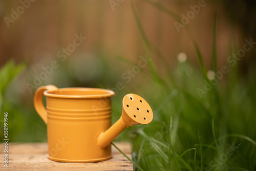 Mniature watering can. Concept background for gardening photo