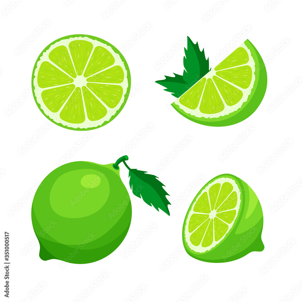 Set of fresh whole, half, cut slice of lime isolated on white background. Citrus fruit and leaves. Vegan food vector icons in a trendy cartoon style. Healthy food concept.	
