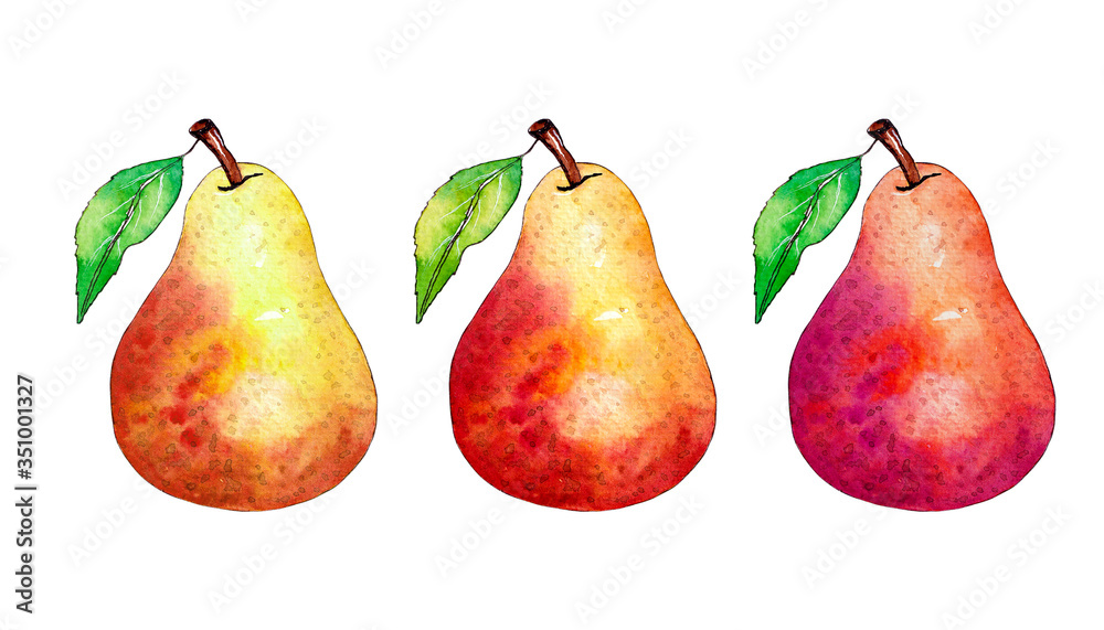 Set of three pears in red and yellow, watercolor illustration on white background Set of three pears in red and yellow, watercolor illustration on white background