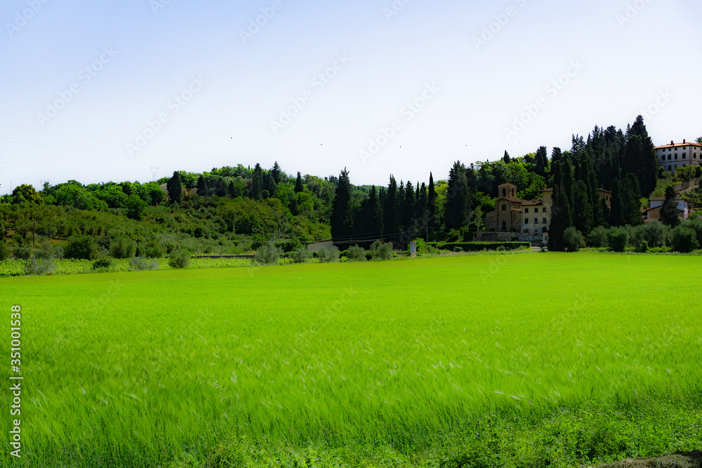 green field and blue sky green field and blue sky