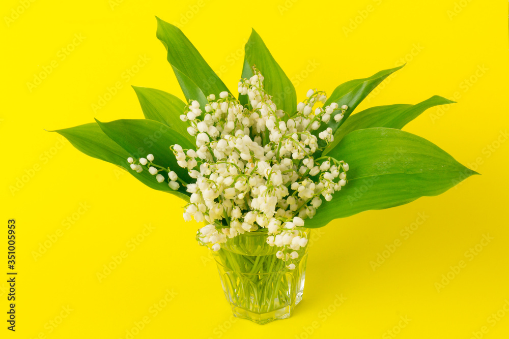 Lily of the Valley (Convallaria Majalis) isolated on yellow background Lily of the Valley (Convallaria Majalis) isolated on yellow background