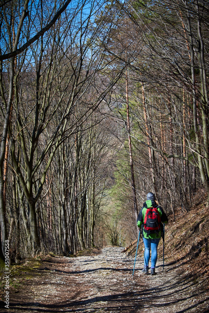 Wandering is a way to health and well-being Wandering is a way to health and well-being