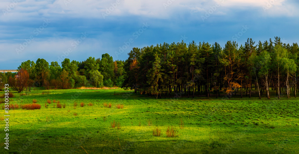 Forest planting on the horizon, rural landscape and panorama