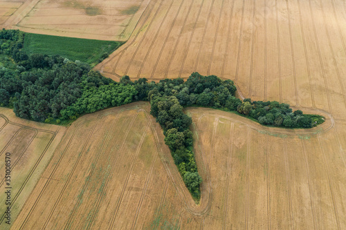 Village country farming shapes in field photo