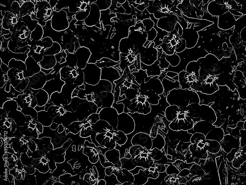 Flower pattern black and white outline of a pansies flower.