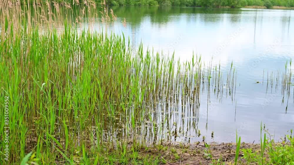 View of a quarry pond from the shore with overcast skies and calm water in northern Germany