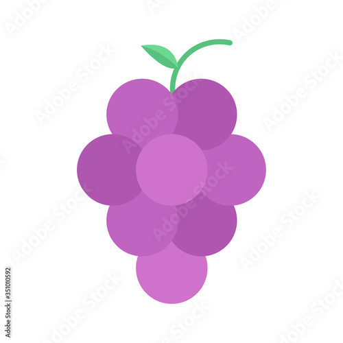 Grape icon vector, flat design illustration