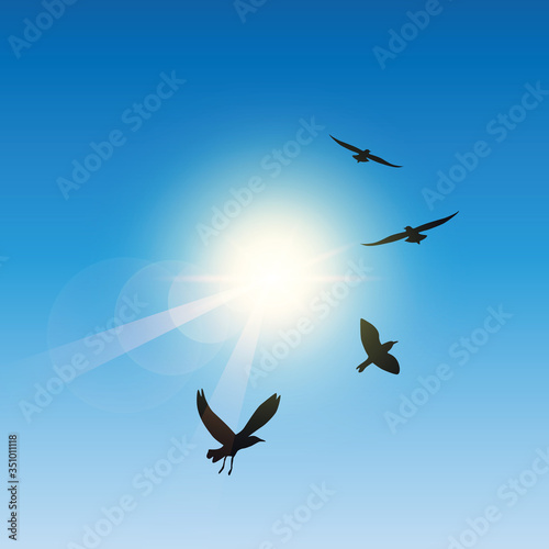 flying birds in sunny sky vector illustration EPS10 © krissikunterbunt