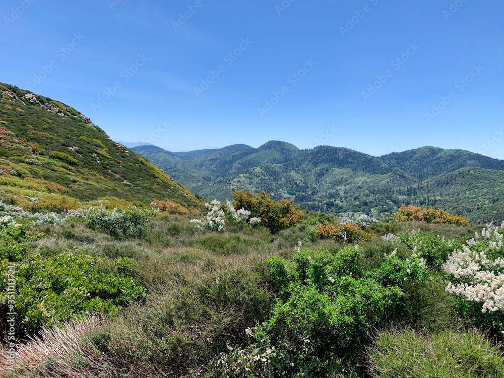 Green Mountain Hiking Landscape