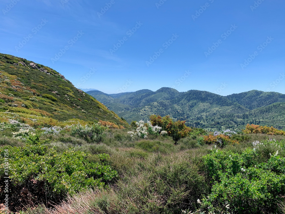 Green Mountain Hiking Landscape