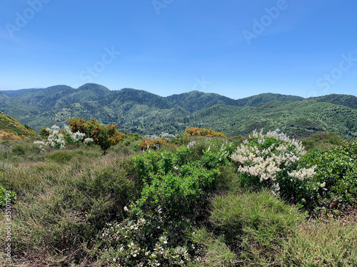 Green Mountain Hiking Landscape