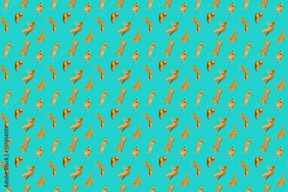 pattern of many ginger flying jumping, dance funny cats, on a light background, set collage