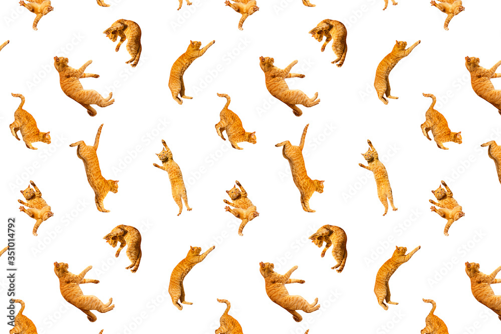 pattern of many ginger flying jumping, dance funny cats isolated on a white background, set collage