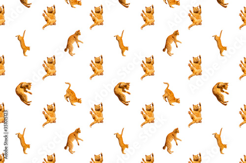 pattern of many ginger flying jumping, dance funny cats isolated on a white background, set collage © vika33