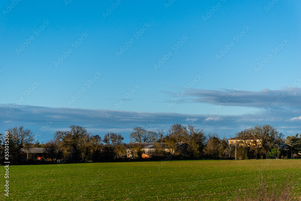 A picturesque wide angle shot of a green grass plain field with several trees and houses on the horizon in the early evening during sunset (France, Occitanie)