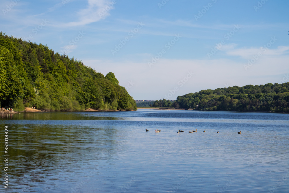 Damflask Reservoir in Spring with birds
