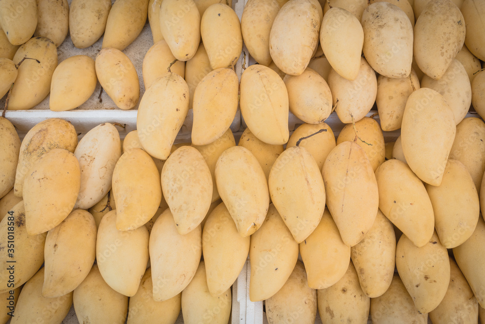 Bright yellow ripen Ataulfo mangos pile in styrofoam box at street market in Geylang, Sinagpore Bright yellow ripen Ataulfo mangos pile in styrofoam box at street market in Geylang, Sinagpore