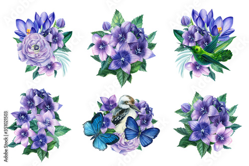 set of flower arrangements, purple crocuses, bells, ranunculus, butterflies, tropical birds, hummingbirds, kookaburra, isolated white background, watercolor botanical illustration
