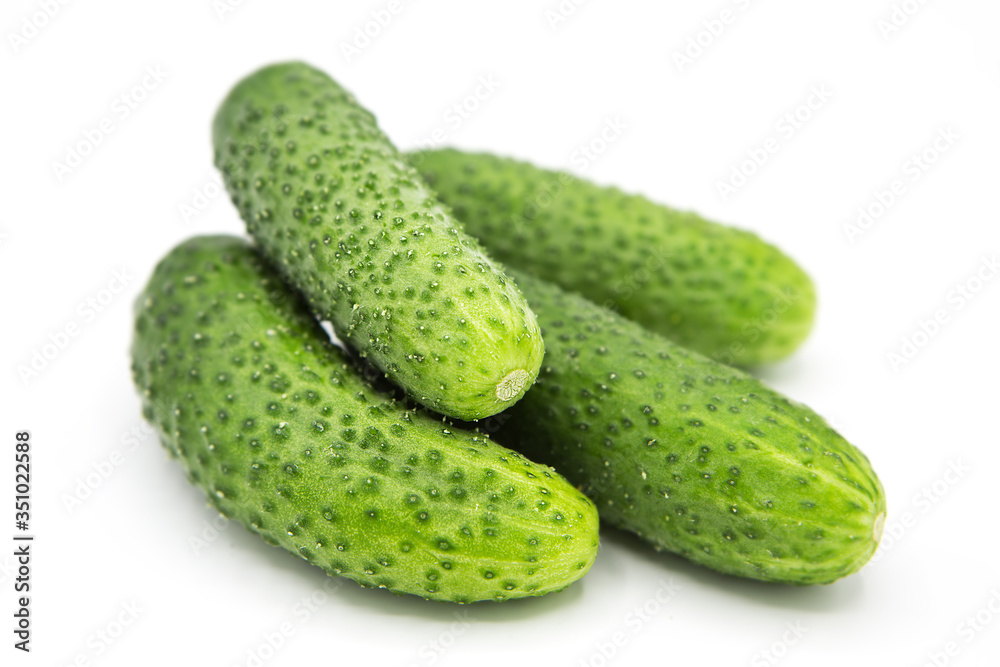 fresh organic cucumbers isolated on white background fresh organic cucumbers isolated on white background