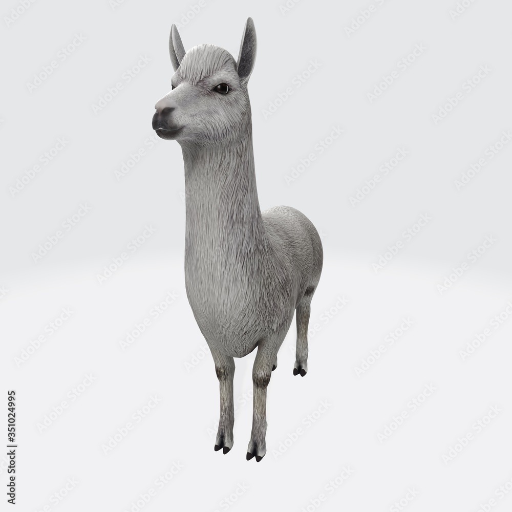 3d model of Alpaca. 3d illustration of standing white Alpaca.