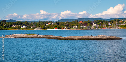 Oslo, Ostlandet / Norway - 2019/09/02: Panoramic view of Oslofjord harbor with Cormorant sea birds resting on a rock with Bigdoy Oslo district, Norway, in background photo