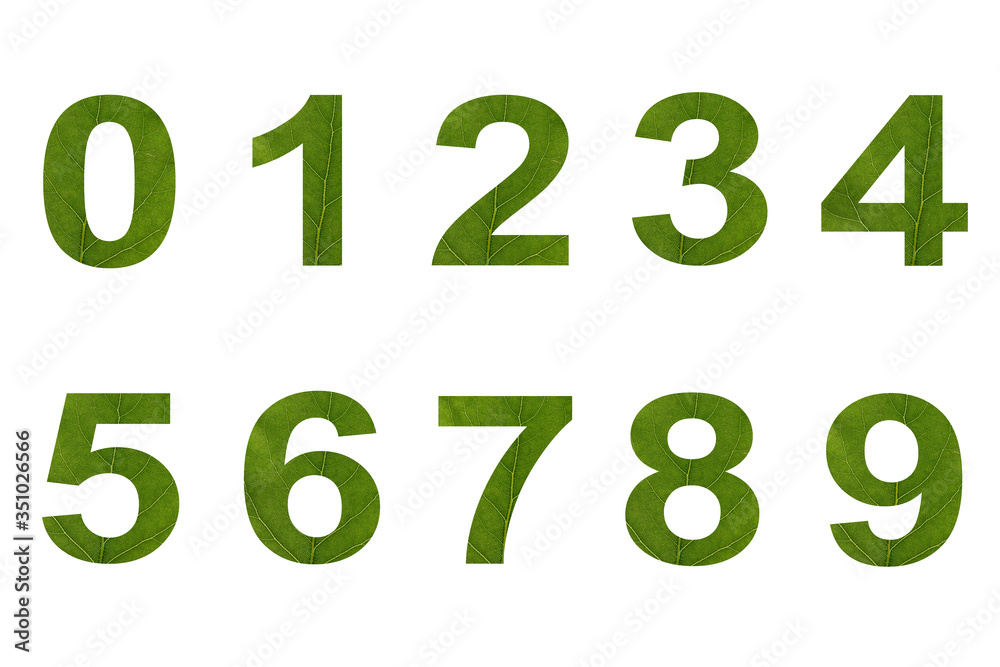 Numbers from green leaves on a white isolated background. Macro shooting. Concept: ecology. Numbers from green leaves on a white isolated background. Macro shooting. Concept: ecology.