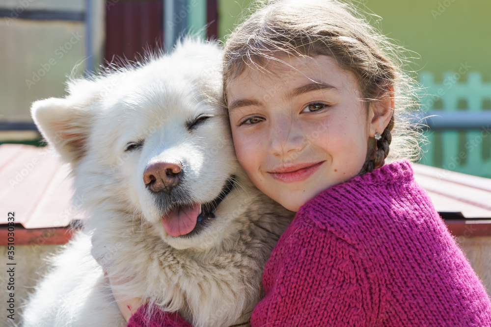 little girl and her cute dog have fun together. Smiling Samoyed and beautiful girl close-up. Kid hugging her cute fluffy dog little girl and her cute dog have fun together. Smiling Samoyed and beautiful girl close-up. Kid hugging her cute fluffy dog