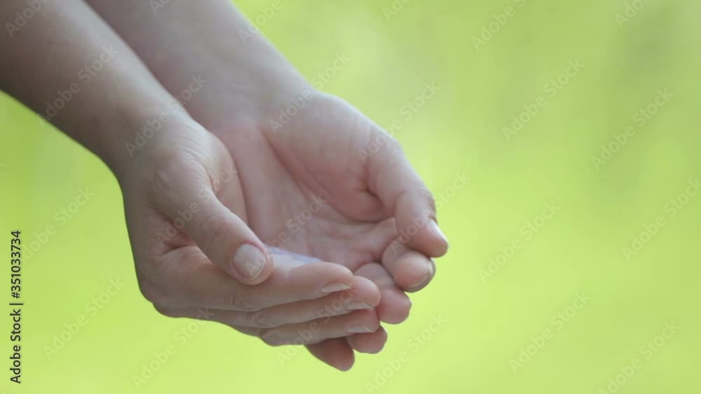 Female hands with peony petals. Close-up hands with flower petals. Female hands with peony petals. Close-up hands with flower petals.