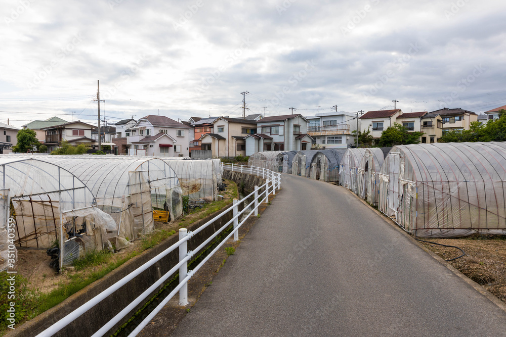 Empty road lined by greenhouses in quiet Japanese town