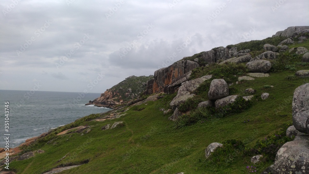 rocks and bush with the sky behind and sea rocks and bush with the sky behind and sea