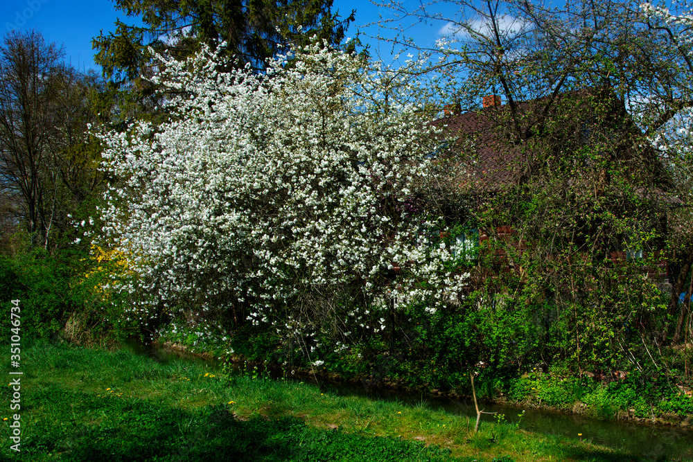 Naklejka premium domek na wsi 