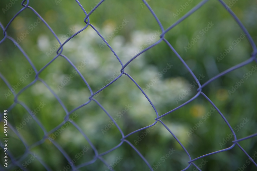кусты за проволкой,bushes behind the wire, кусты за проволкой,bushes behind the wire,