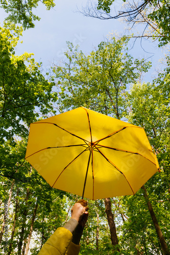 In the forest  girls hands hold a yellow umbrella at the top.