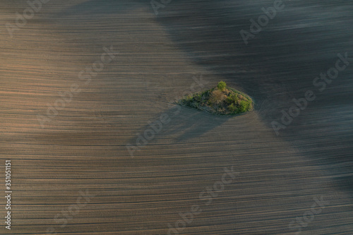 Plowed field and a bush oasis with shadows. Minimalistic abstract background and texture. Spring agricultural work before planting grain. Arable land in agriculture, tractor wheels on the ground.