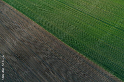 Plowed land and wheat or barley field abstract background and texture. Spring agricultural work before planting grain. Arable land in agriculture, tractor wheels on the ground.