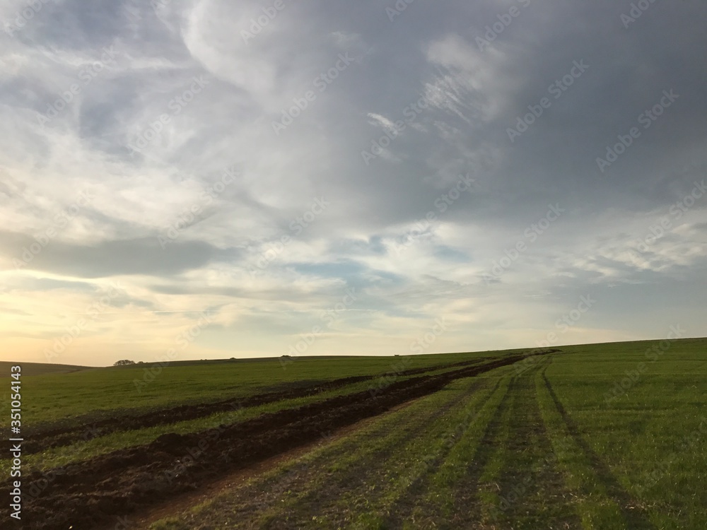 field and sky