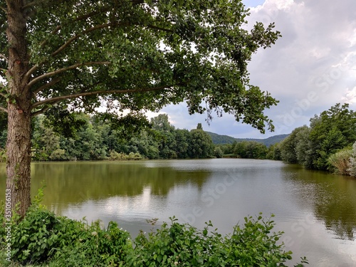 lake in the forest