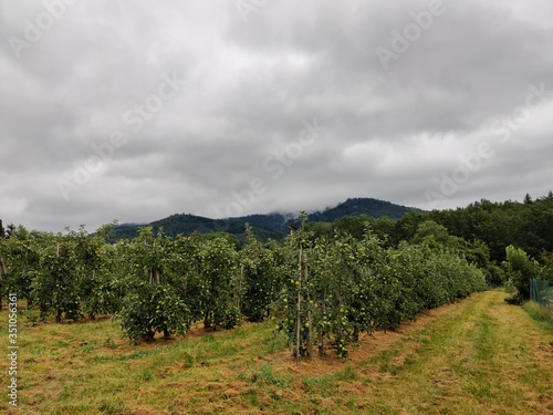 landscape with clouds