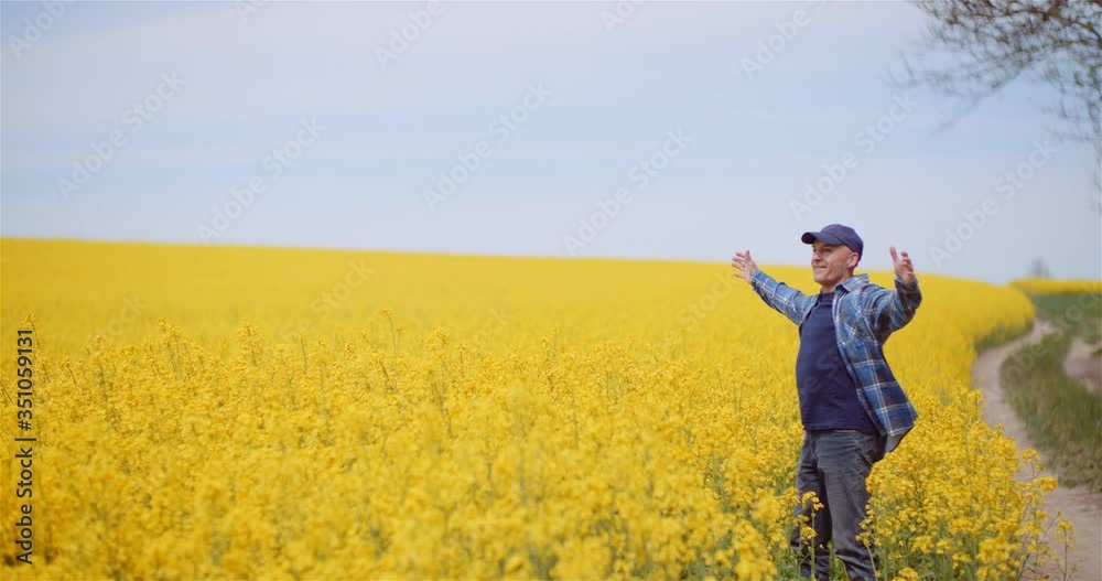 Farmer Examining Rapeseed Crops at Farm Agriculture Concept. Farmer Examining Rapeseed Crops at Farm Agriculture Concept.