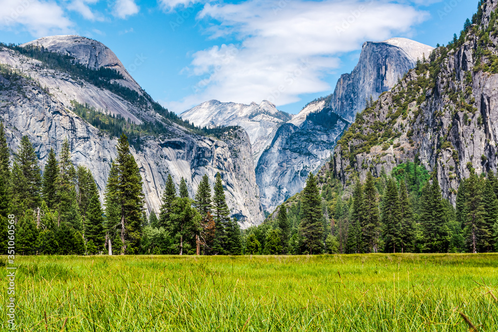 View of Half Dome from the Yosemite Valley Meadows, May 2018.
