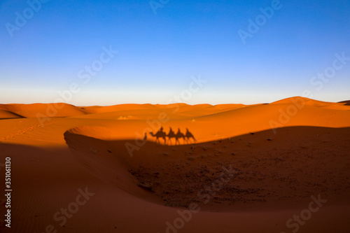 Sahara Desert. Merzouga Morocco.