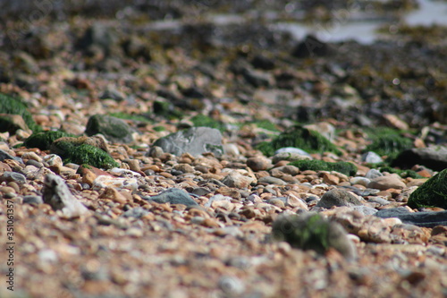 Focused stony beach. 